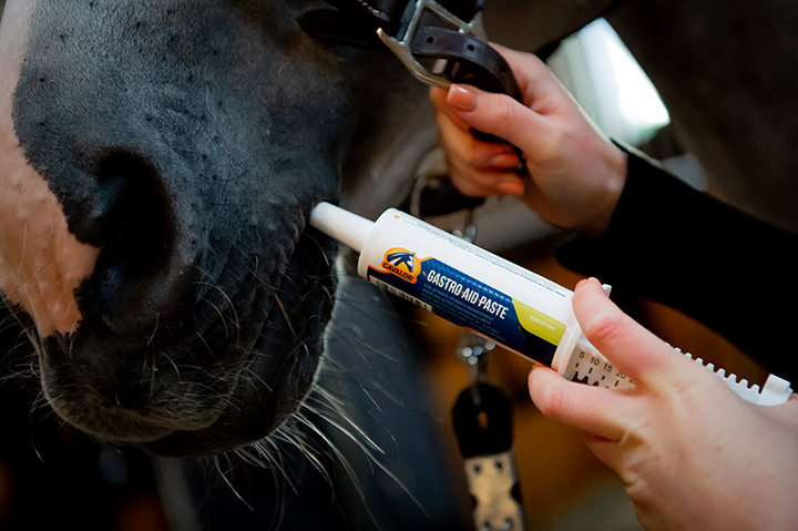 Cavalor Gastro Aid Paste verpakking