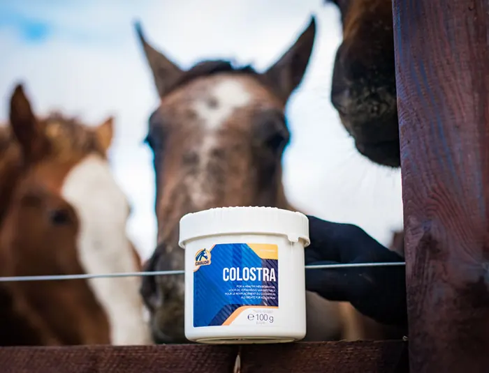 Cavalor Colostra