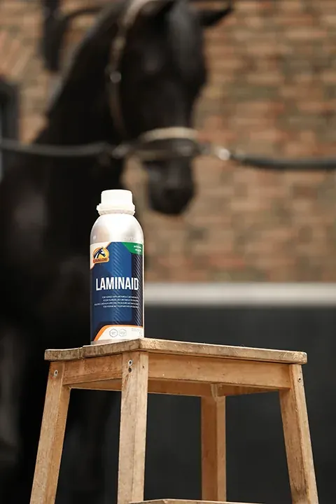 Cavalor LaminAid