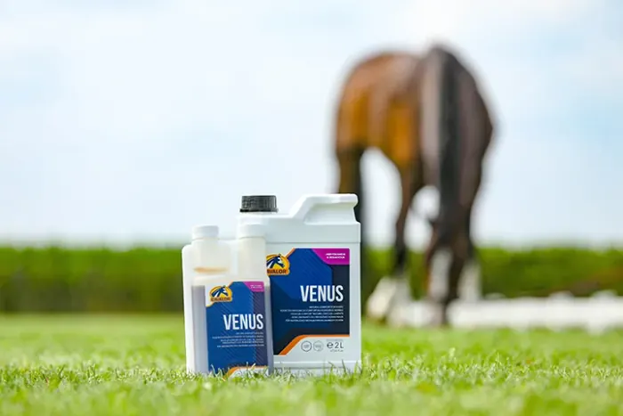 Cavalor Venus