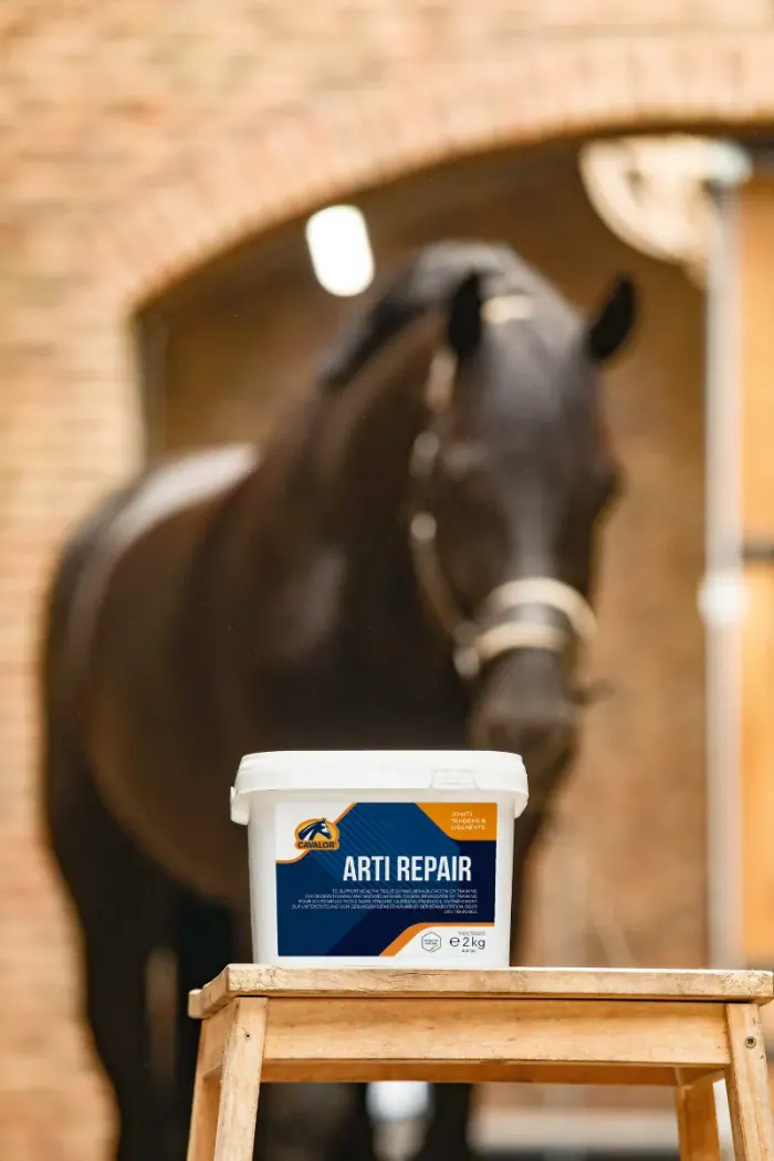 Cavalor Arti Repair