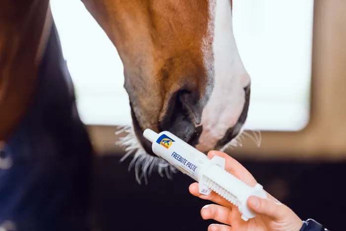Cavalor FreeBute Paste